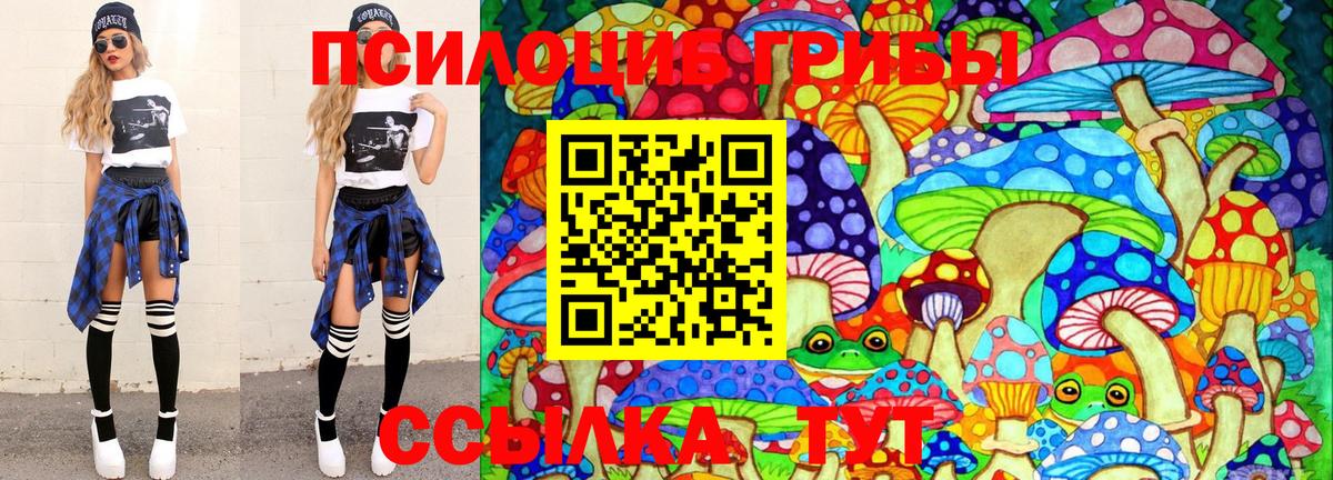 Псилоцибиновые грибы Psilocybine cubensis  Псилоцибиновые грибы мицелий  где купить наркотик  Можга  Вход с VPN 