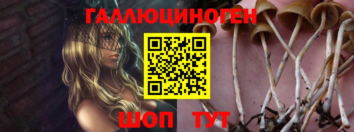 Псилоцибиновые грибы мицелий Можга